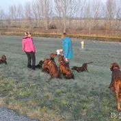 Výlet do Kalinkova k Dunaju