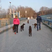 Výlet do Kalinkova k Dunaju