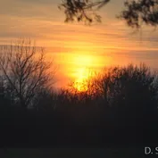 Výlet do Kalinkova k Dunaju