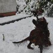 Dorinkin prvý sneh