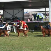 Komárom - trojdňová výstava, jeseň 2017