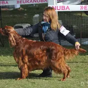 Komárom - trojdňová výstava, jeseň 2017