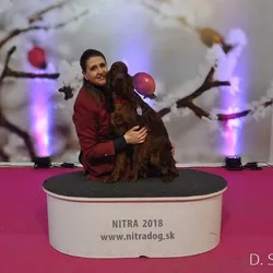 MVP Nitra - február 2018