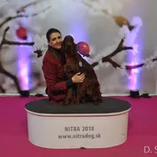 MVP Nitra - február 2018