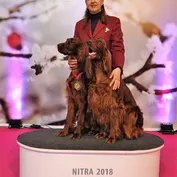 MVP Nitra - február 2018