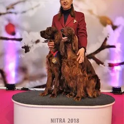 MVP Nitra - február 2018