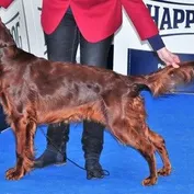 MVP Nitra - február 2018
