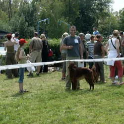 Výstavy