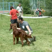 Výstavy
