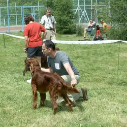 Výstavy