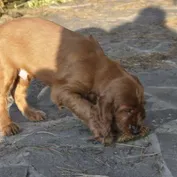 Druhý raz vonku