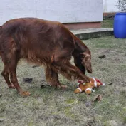Zábava a oddych