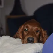 Naša Aisha